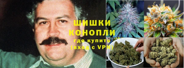 круглые Белокуриха